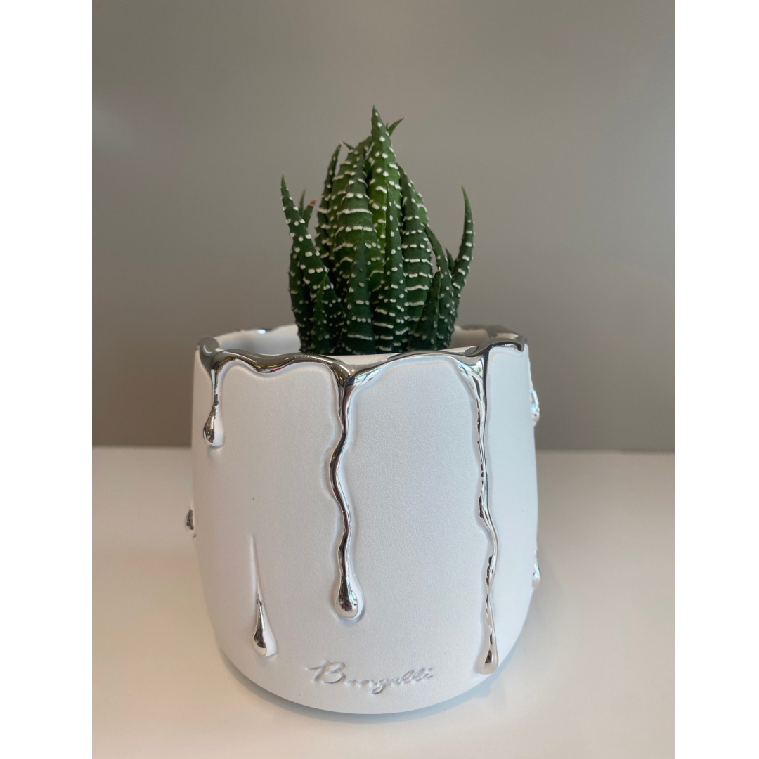 VASO 2689
