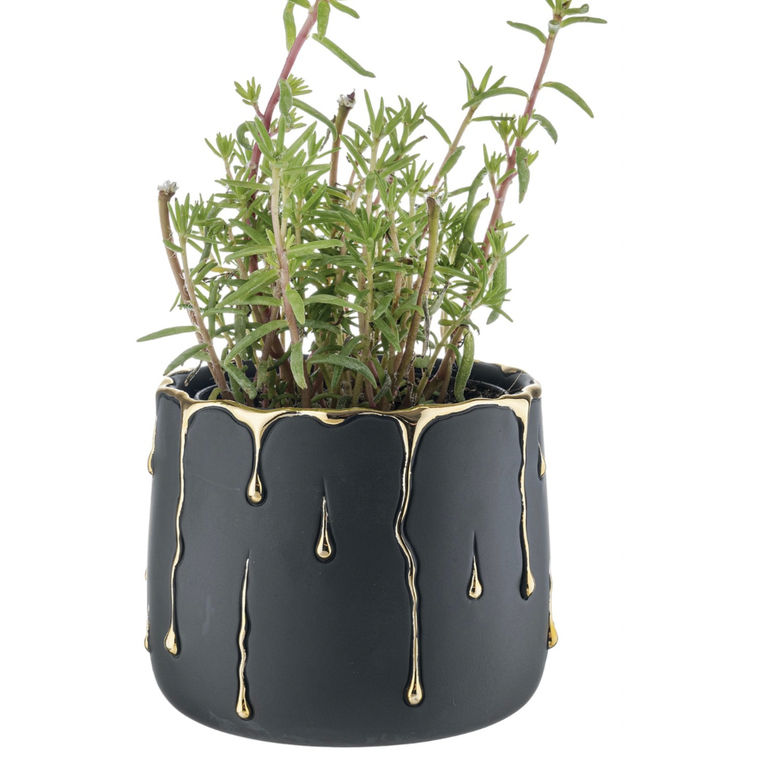 VASO NOIR PIANTA